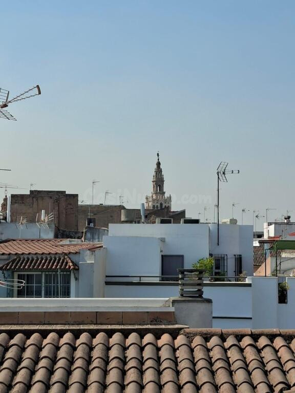 Estudio completamente reformado en el corazón de Sevilla!!!