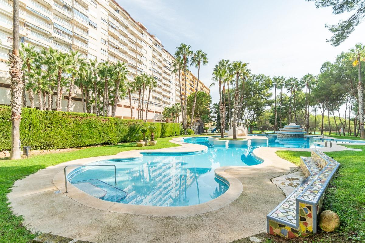 Apartamento de 3 dormitorios y 1 baño en Dehesa de Campoamor (Orihuela Costa)
