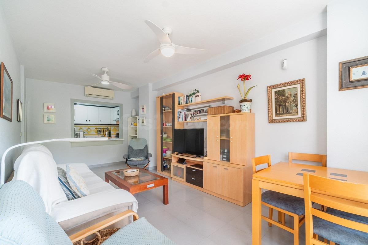 Apartamento de 3 dormitorios y 1 baño en Dehesa de Campoamor - foto 5