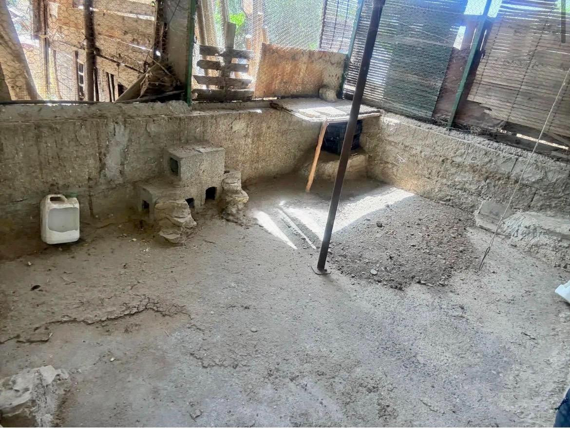 Finca agrícola y ganadera de 25.000 m2 con pozo propio, plac - foto 4