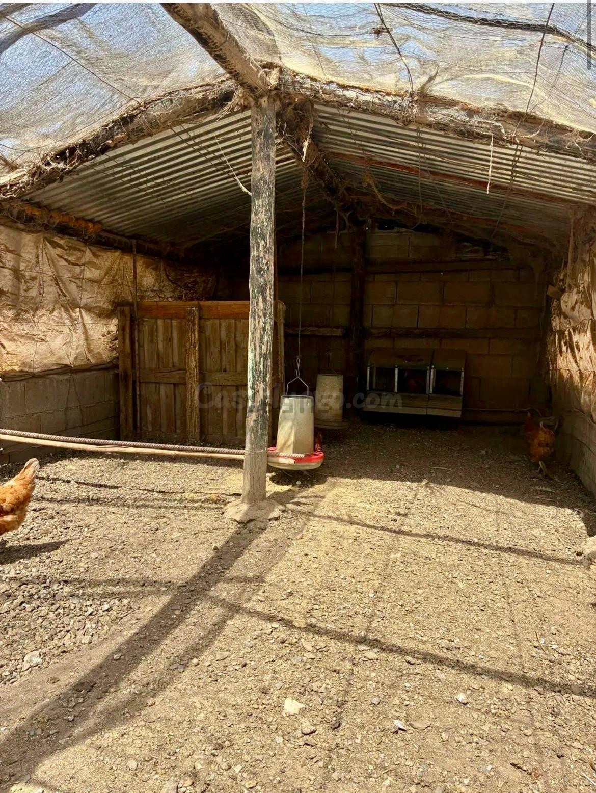 Finca agrícola y ganadera de 25.000 m2 con pozo propio, plac - foto 5