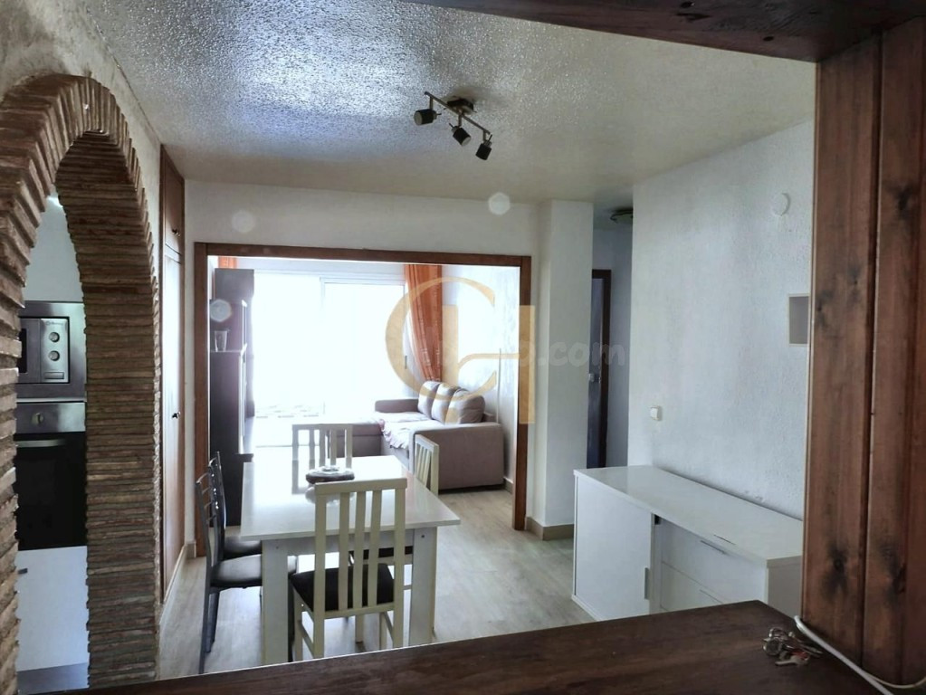 Piso con terraza en Calle Almoradí, Torrevieja - foto 4