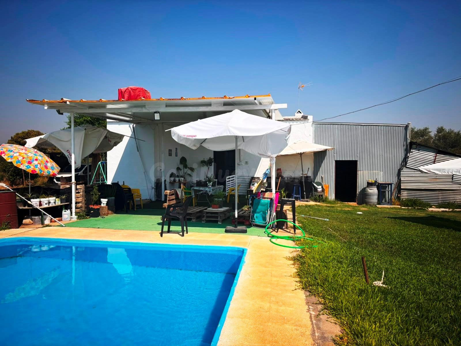 Finca rústica - Huévar del Aljarafe - foto 3