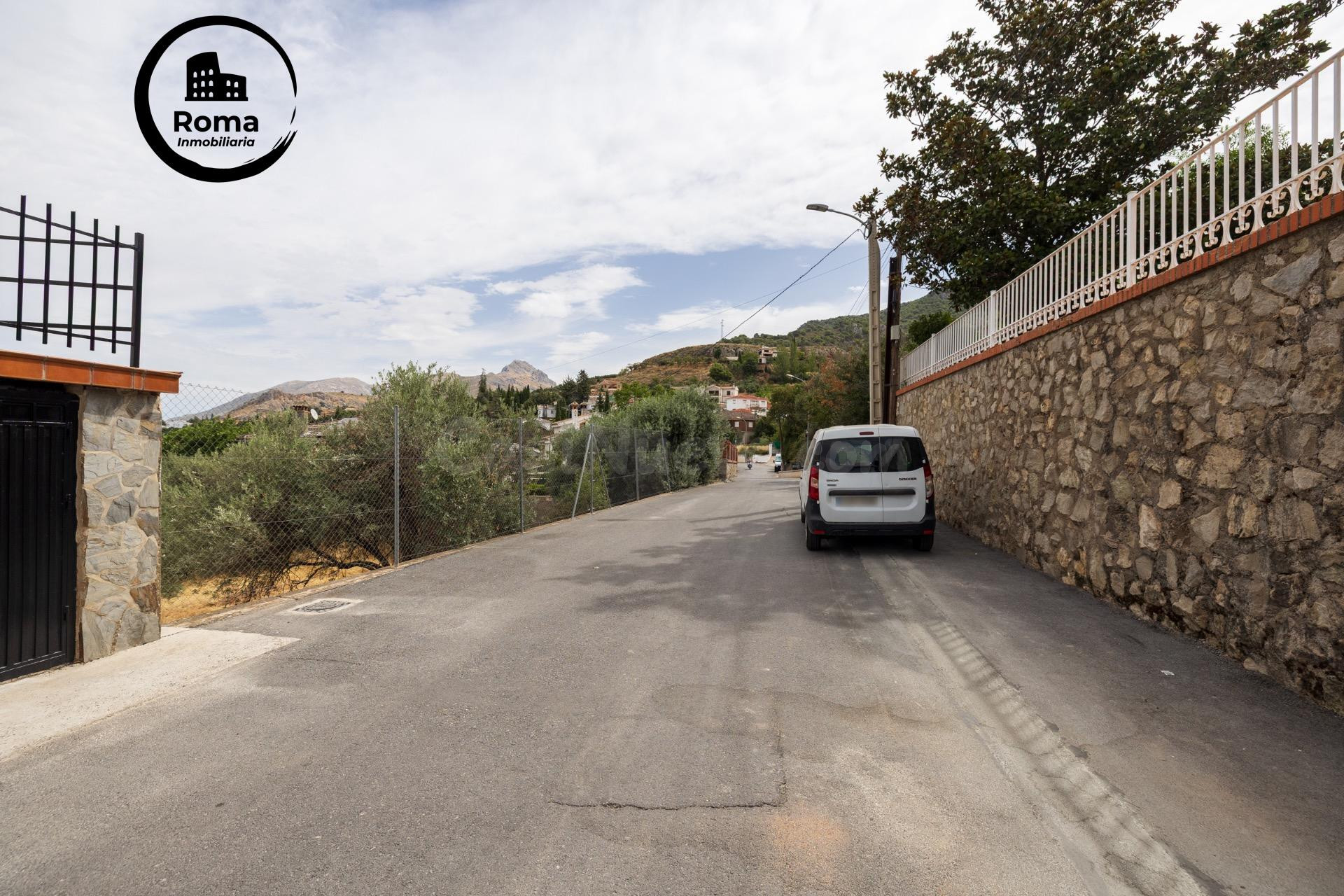 GRAN FINCA URBANA EN NIVAR! - foto 4