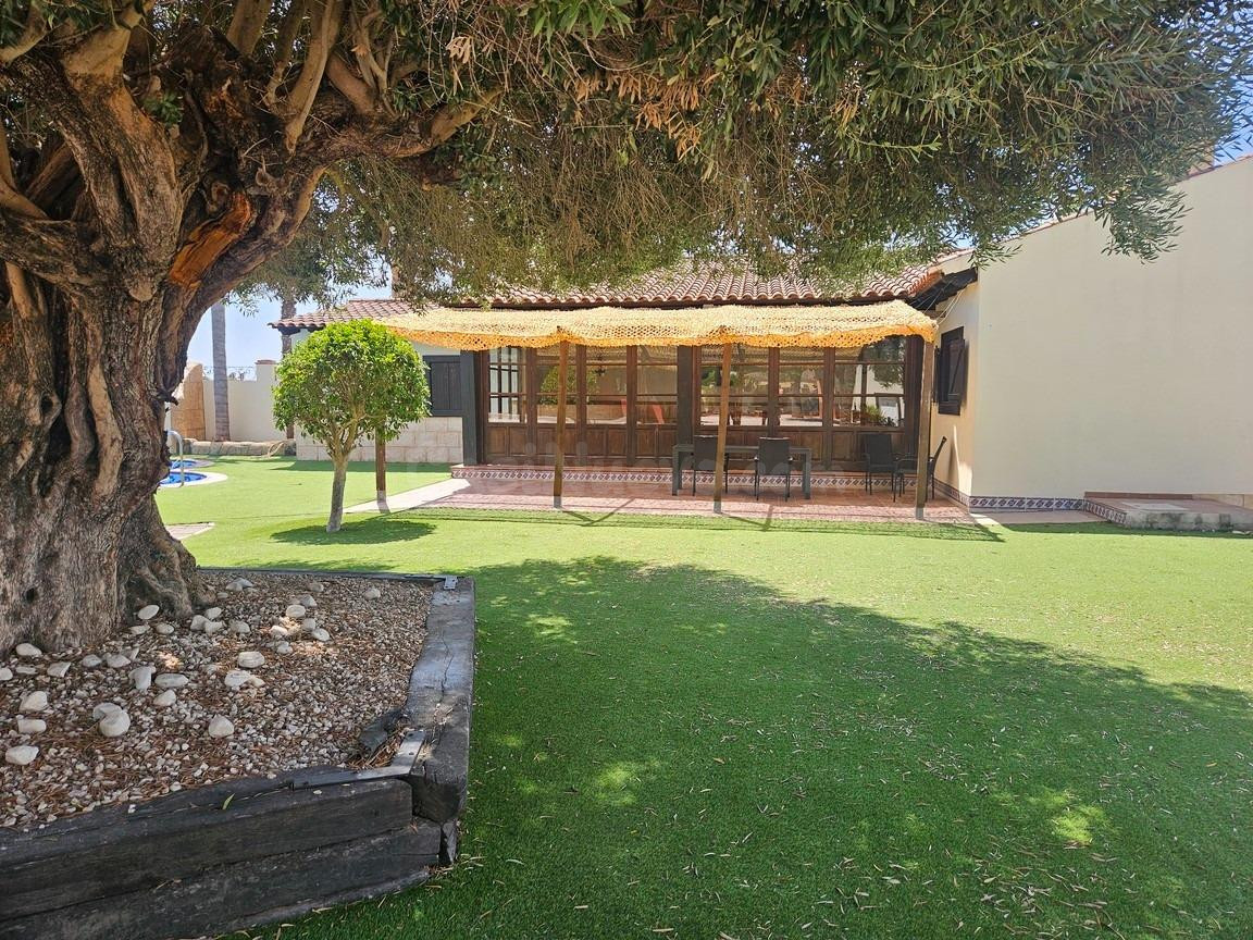 Casa de campo en catral - foto 5