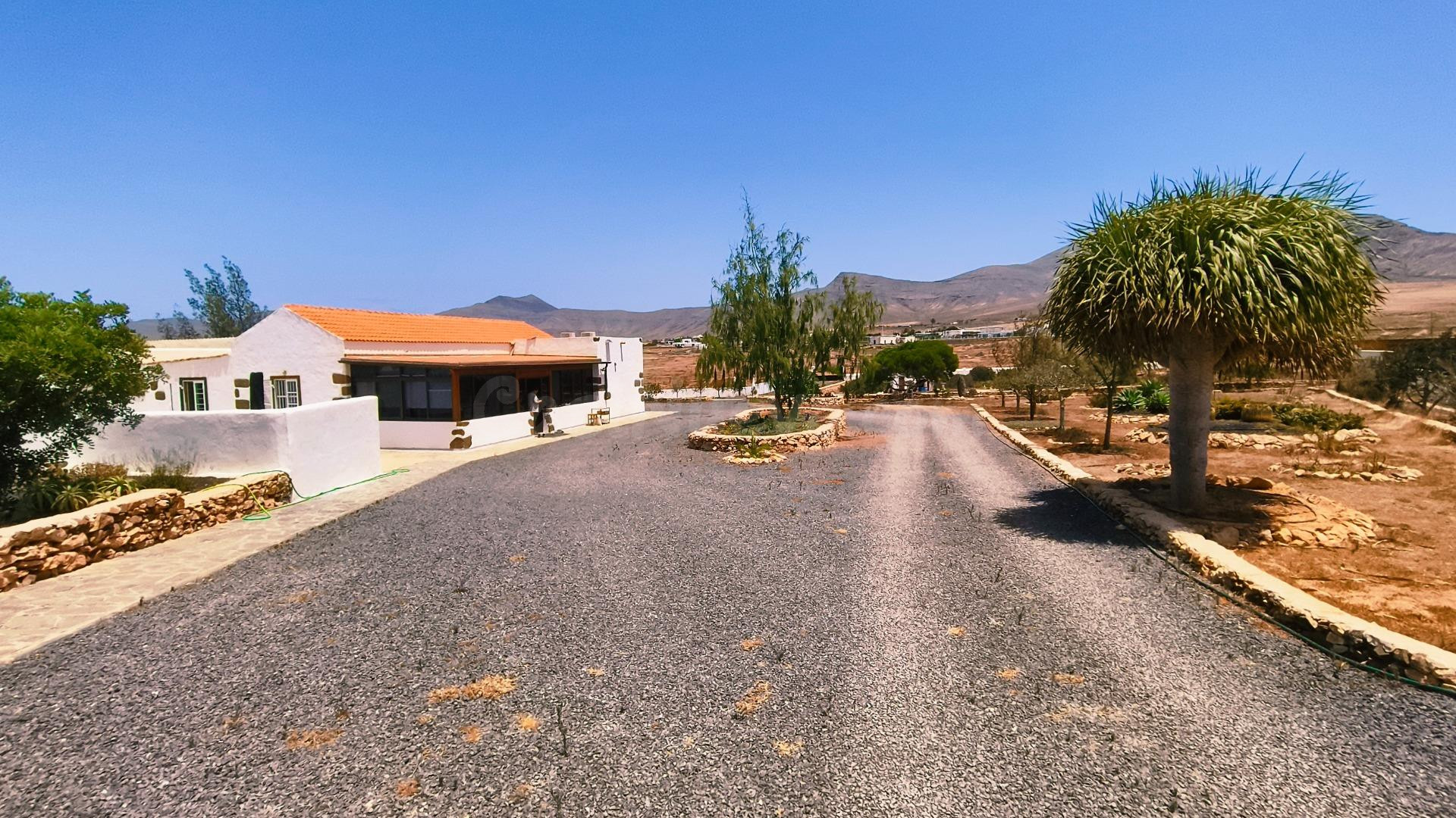 Villa Rural Excepcional con Casa de Invitados, Piscina Priva - foto 5
