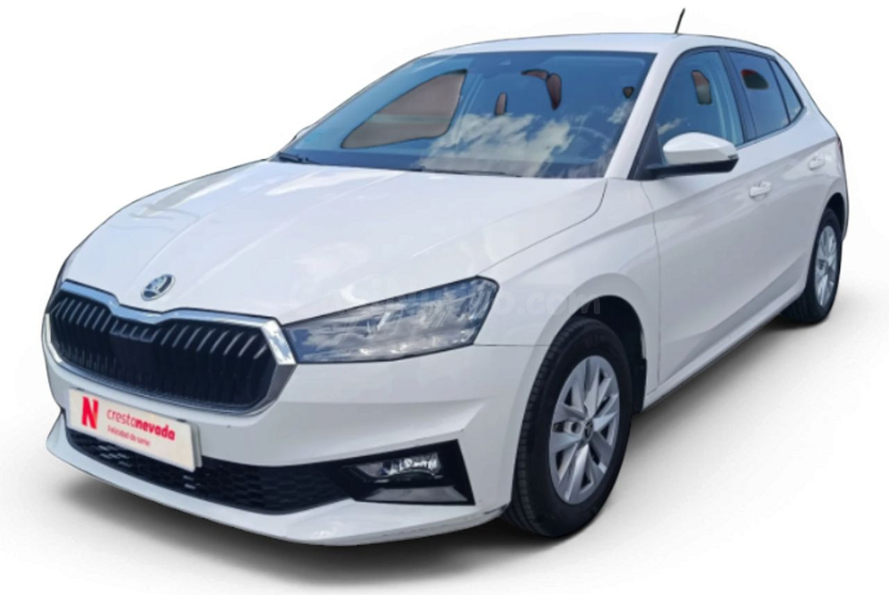 Skoda Fabia 1.0 TSI 70KW 95CV Selection