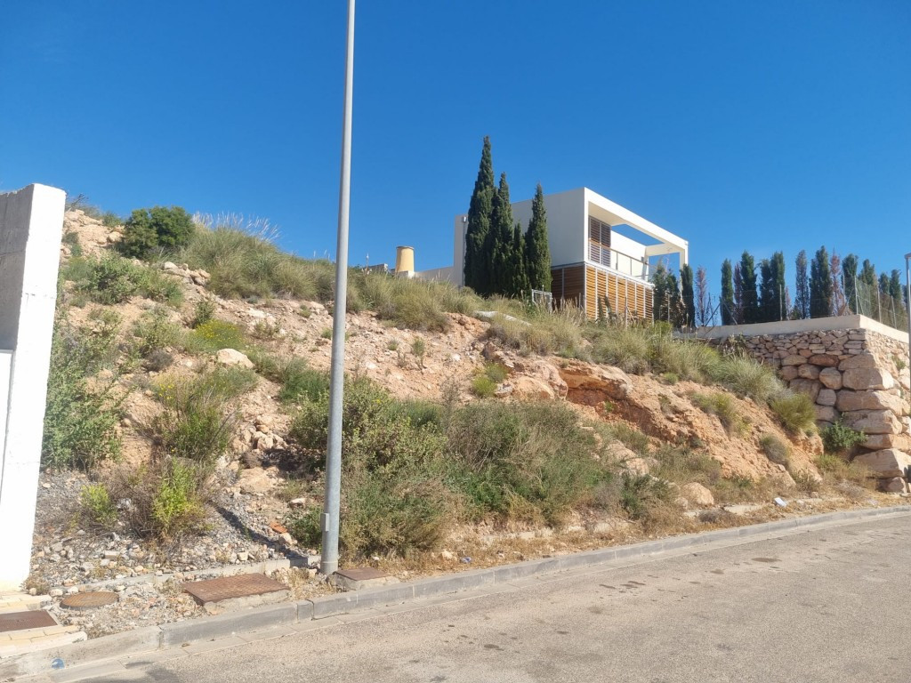 Solar residencial en Venta en Envia, La Almería - foto 3