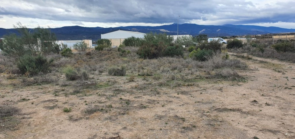 Casa de campo-Masía en Alquiler en Cantoria Almería - foto 2
