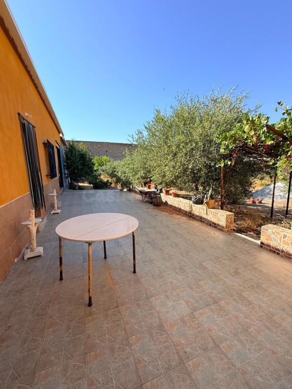 Casa-Chalet en Venta en Albox Almería - foto 5