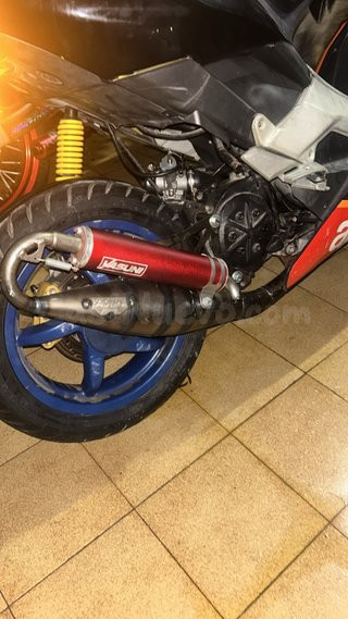 Yasuni R  piaggio