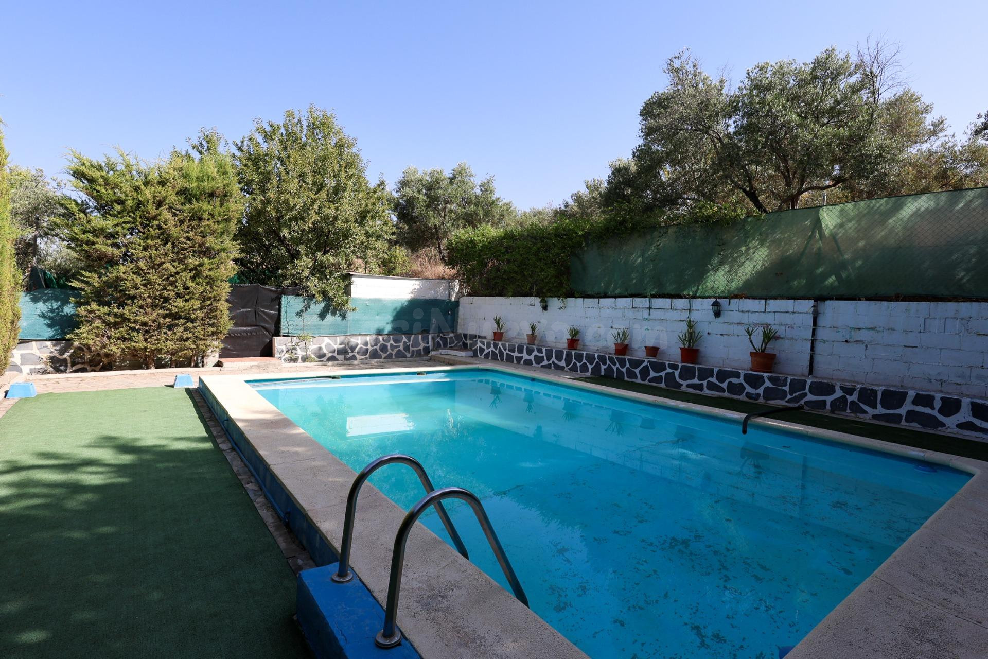 Finca rústica de 9.766 m2 con vivienda legalizada, AFO y pis - foto 2