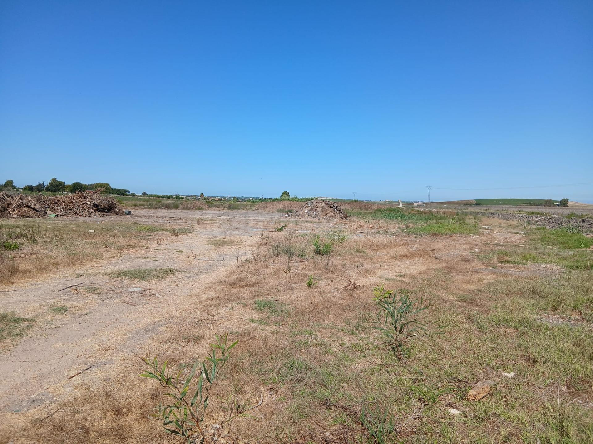 Se vende magnífica parcela de uso agrario con una superficie total de 26.047 m2, ideal para profesionales del sector agrícola, inversores o proyectos de explotación agropecuaria de gran escala.
