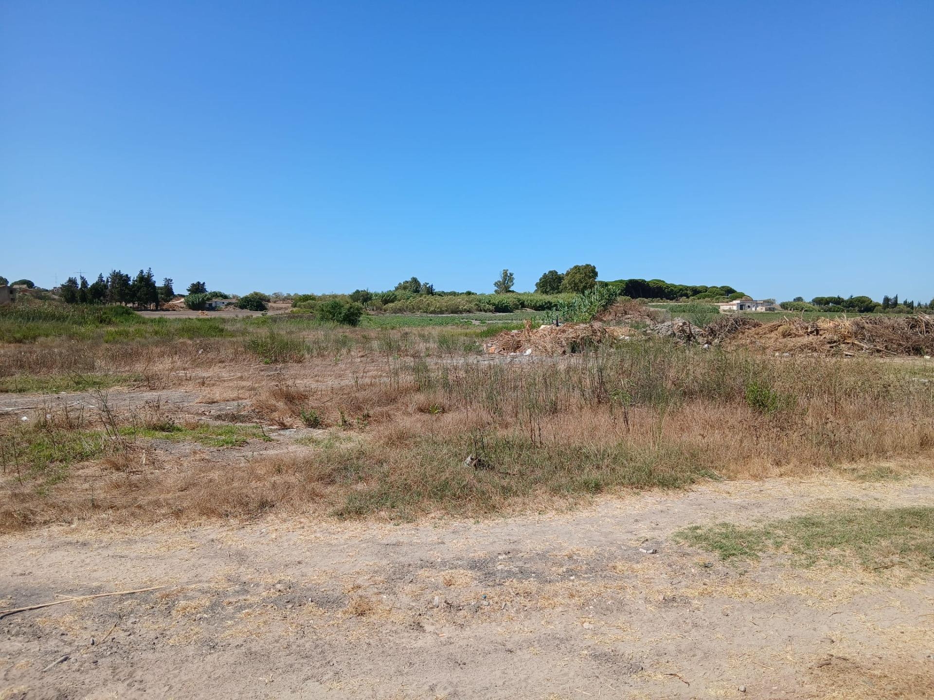 Se vende magnífica parcela de uso agrario con una superficie - foto 2