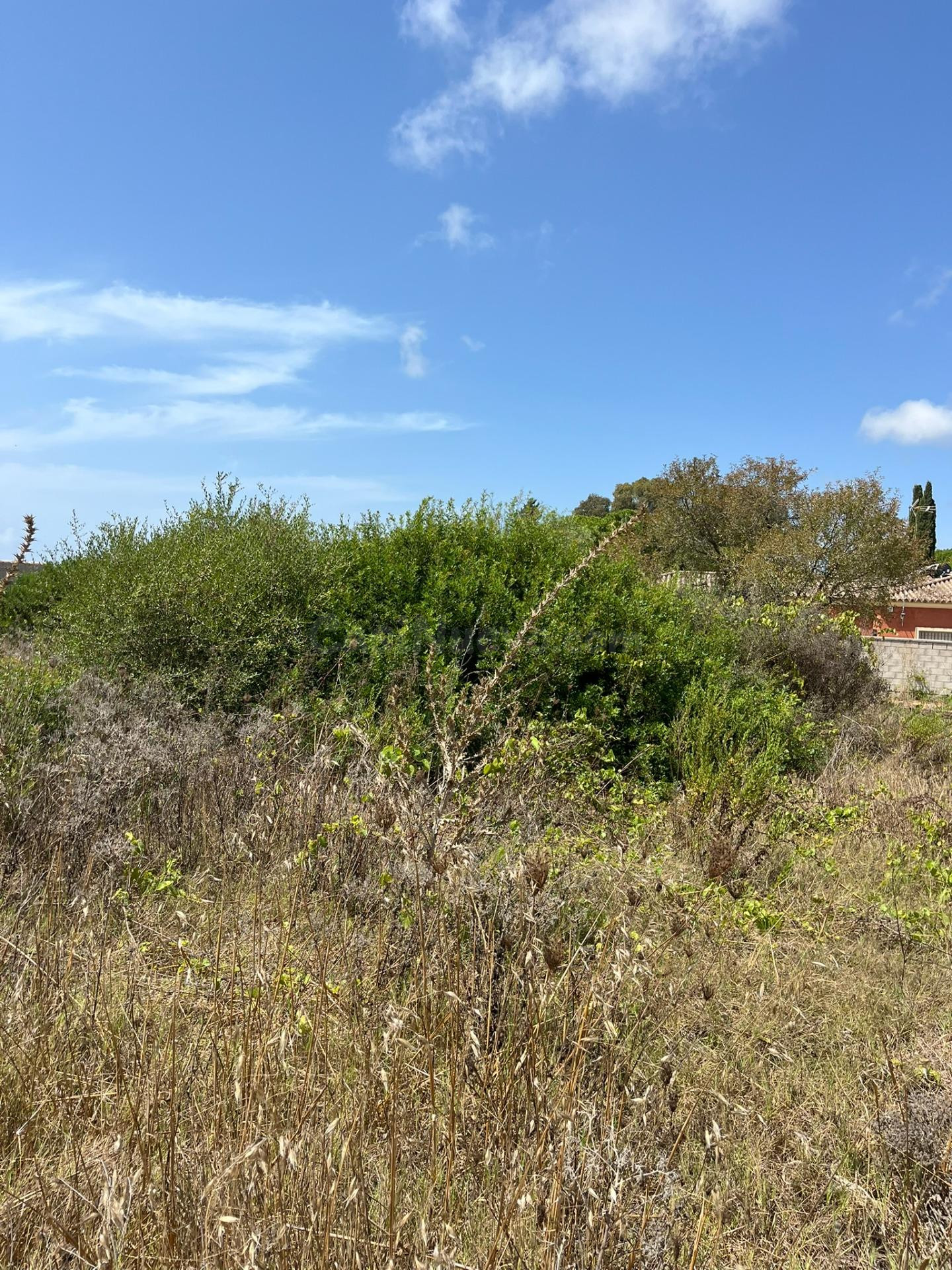 PARCELA SEGREGADA RUSTICA PAGO MARAVILLAS - foto 2