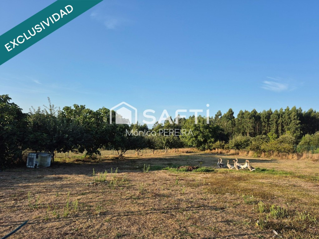 Parcela en Vilaño (Laracha): naturaleza y buena conexión - foto 5