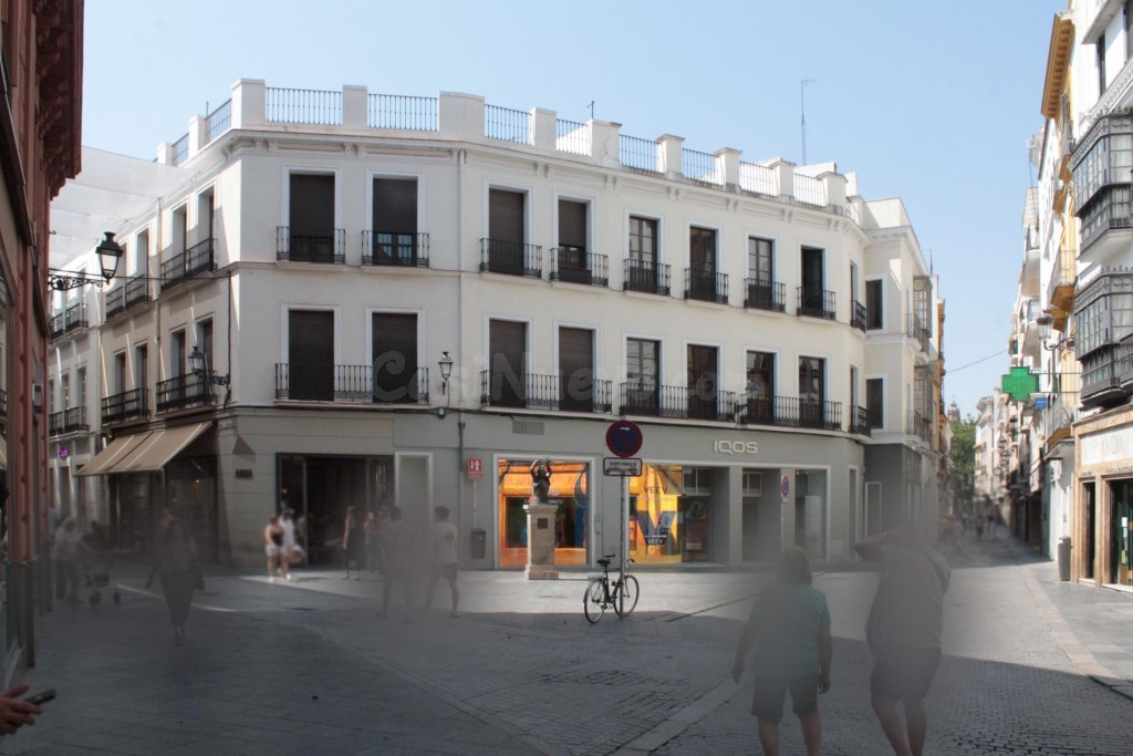 Local comercial en Alquiler en Sevilla Sevilla - foto 2