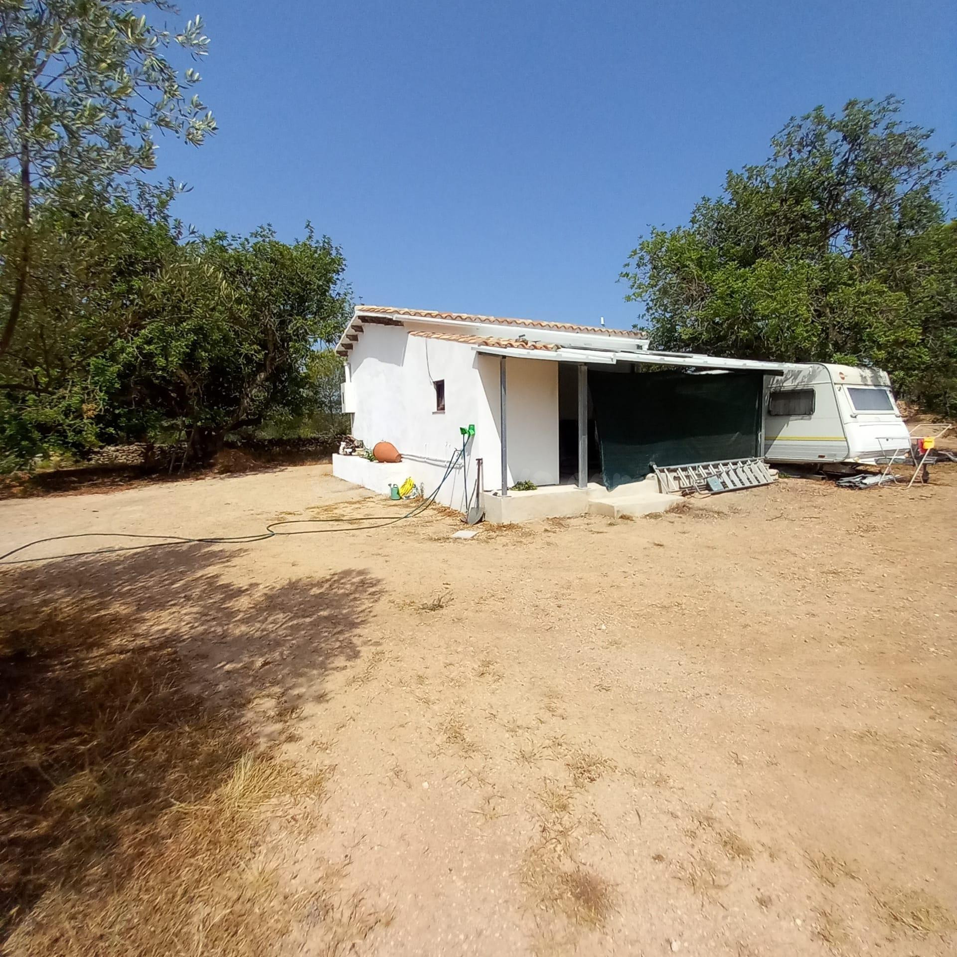 Finca rústica con casa de campo reformada, olivos, algarrobo - foto 3