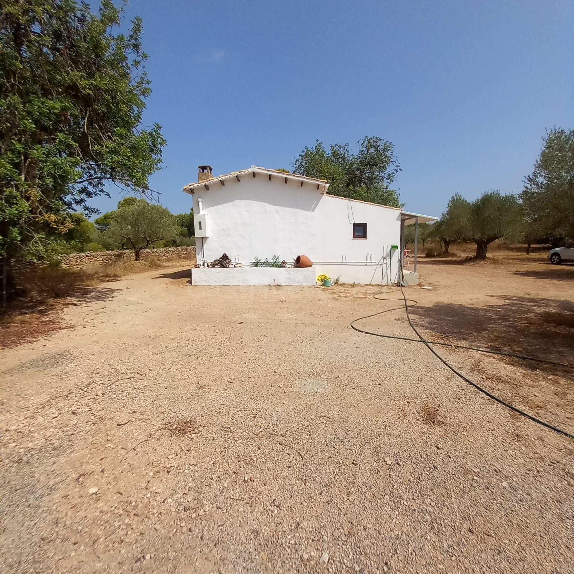 Finca rústica con casa de campo reformada, olivos, algarrobo - foto 4