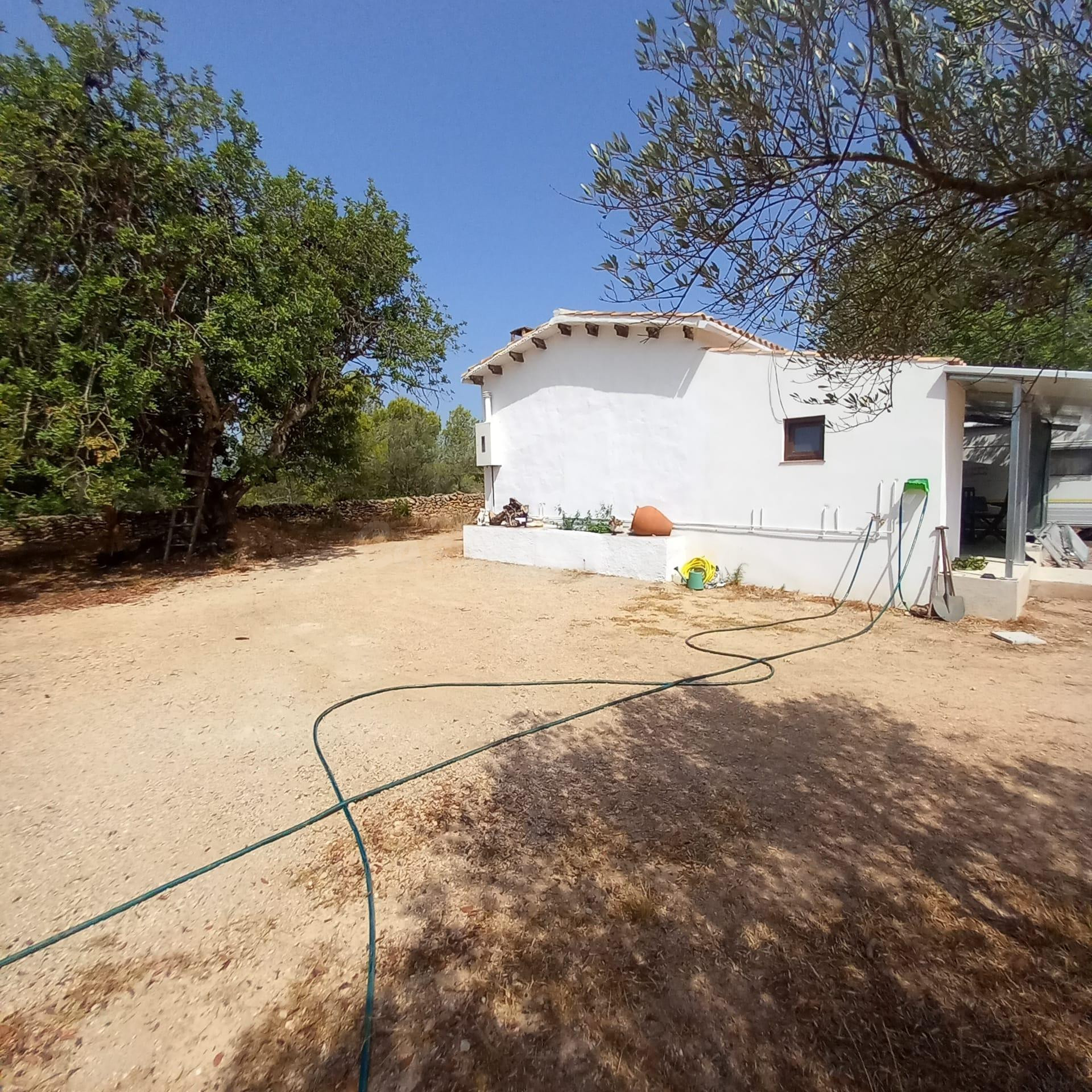 Finca rústica con casa de campo reformada, olivos, algarrobo - foto 5
