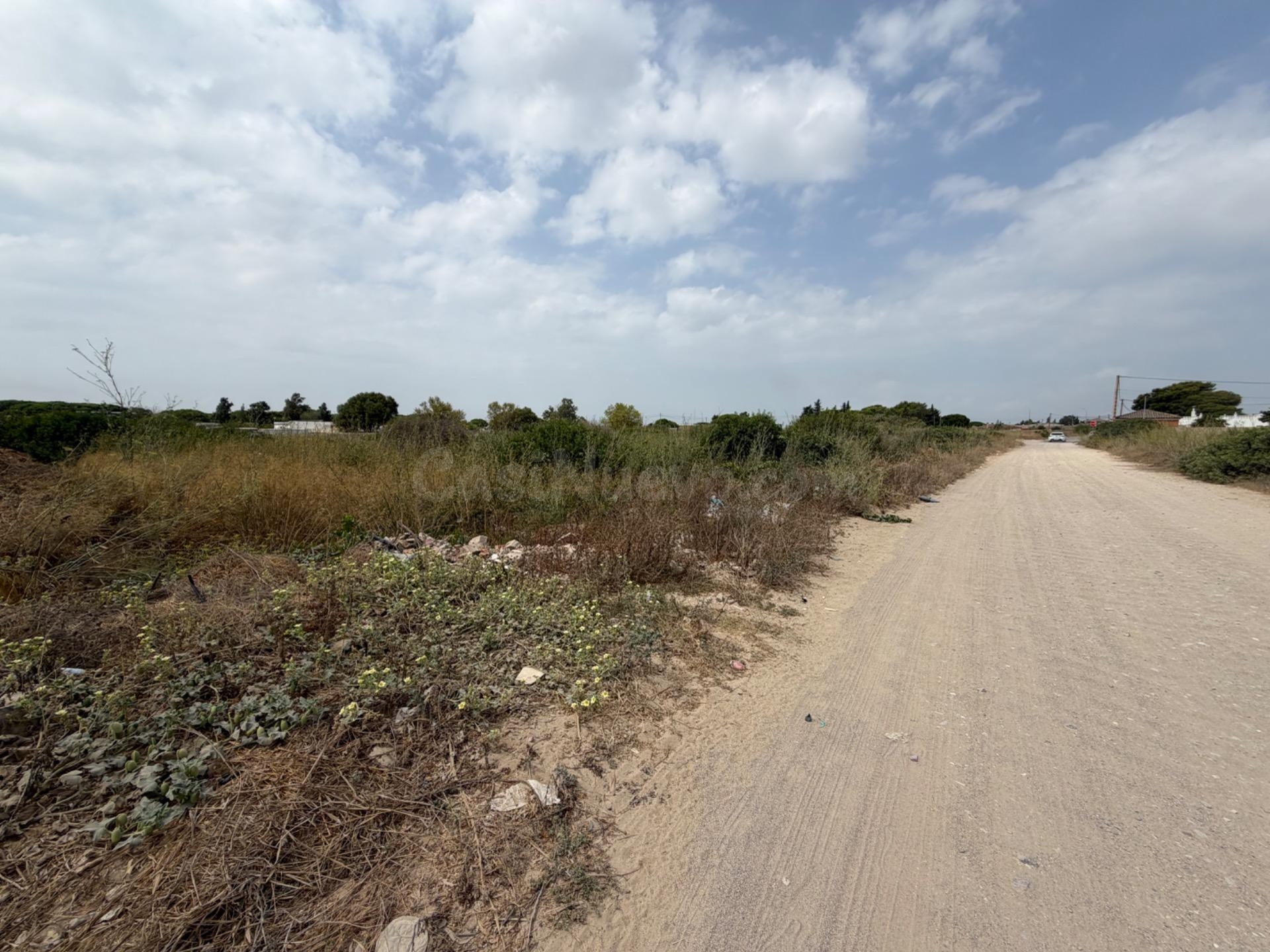 PARCELA SEGREGADA DE 4.227 METROS EN EL PAGO DEL HUMO - foto 3