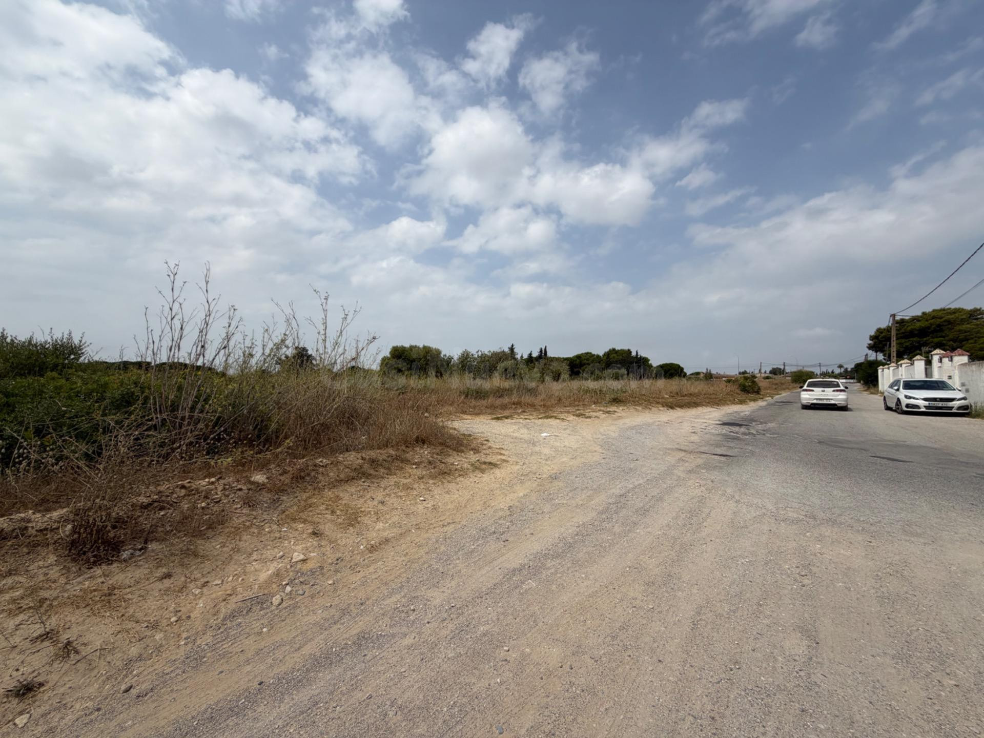 PARCELA SEGREGADA DE 4.227 METROS EN EL PAGO DEL HUMO - foto 5