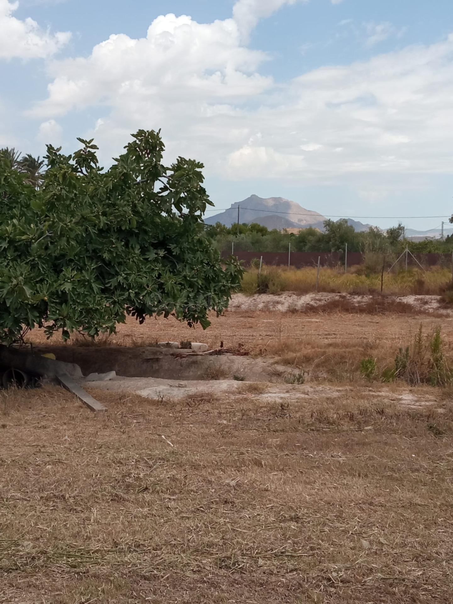 Parcela Rústica de 3.700m2 con Agua de Riego a 4,5 km de Mutxamel y a 9 km de la Playa