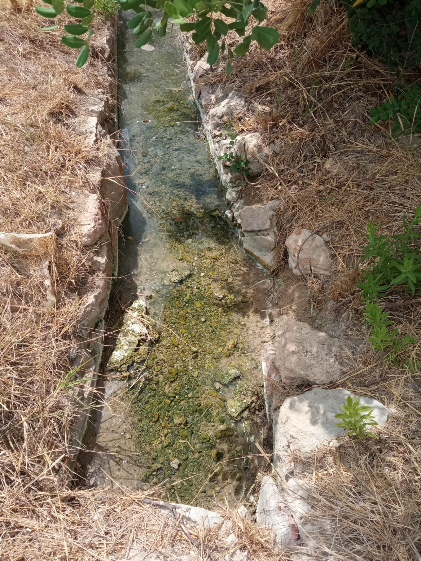 Parcela Rústica de 3.700m2 con Agua de Riego a 4,5 km de Mut - foto 3