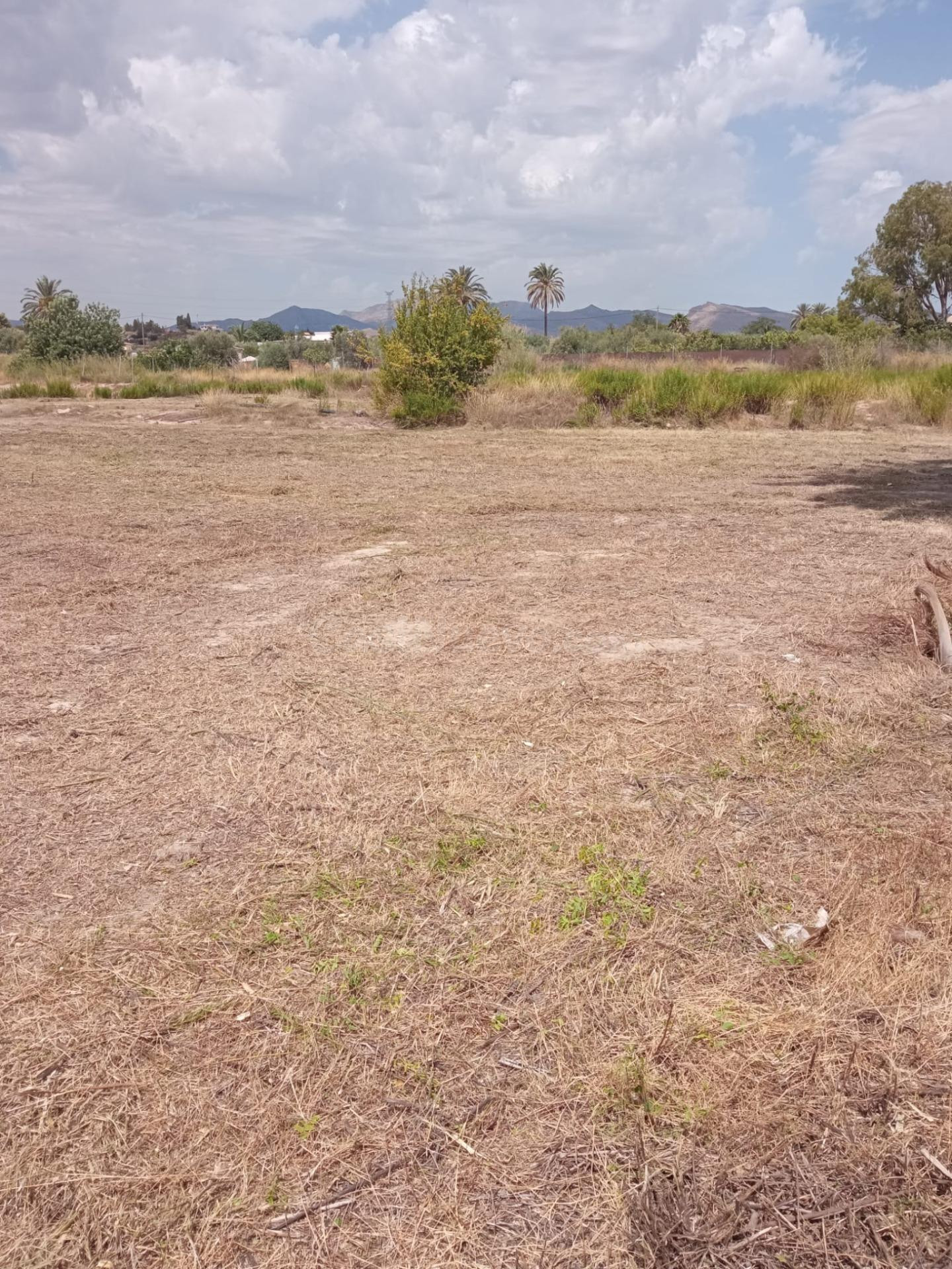 Parcela Rústica de 3.700m2 con Agua de Riego a 4,5 km de Mut - foto 5