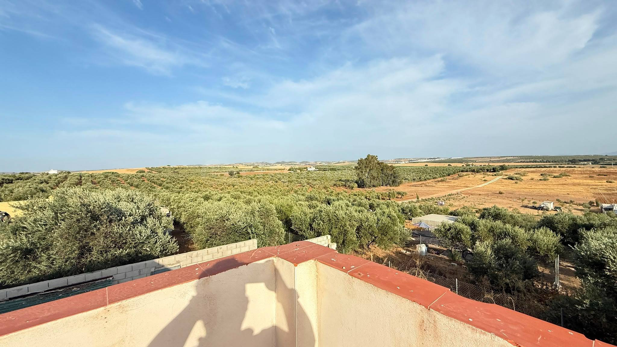 PARCELA RÚSTICA CON VIVIENDA PARA REFORMAR EN MORÓN DE LA FR - foto 3