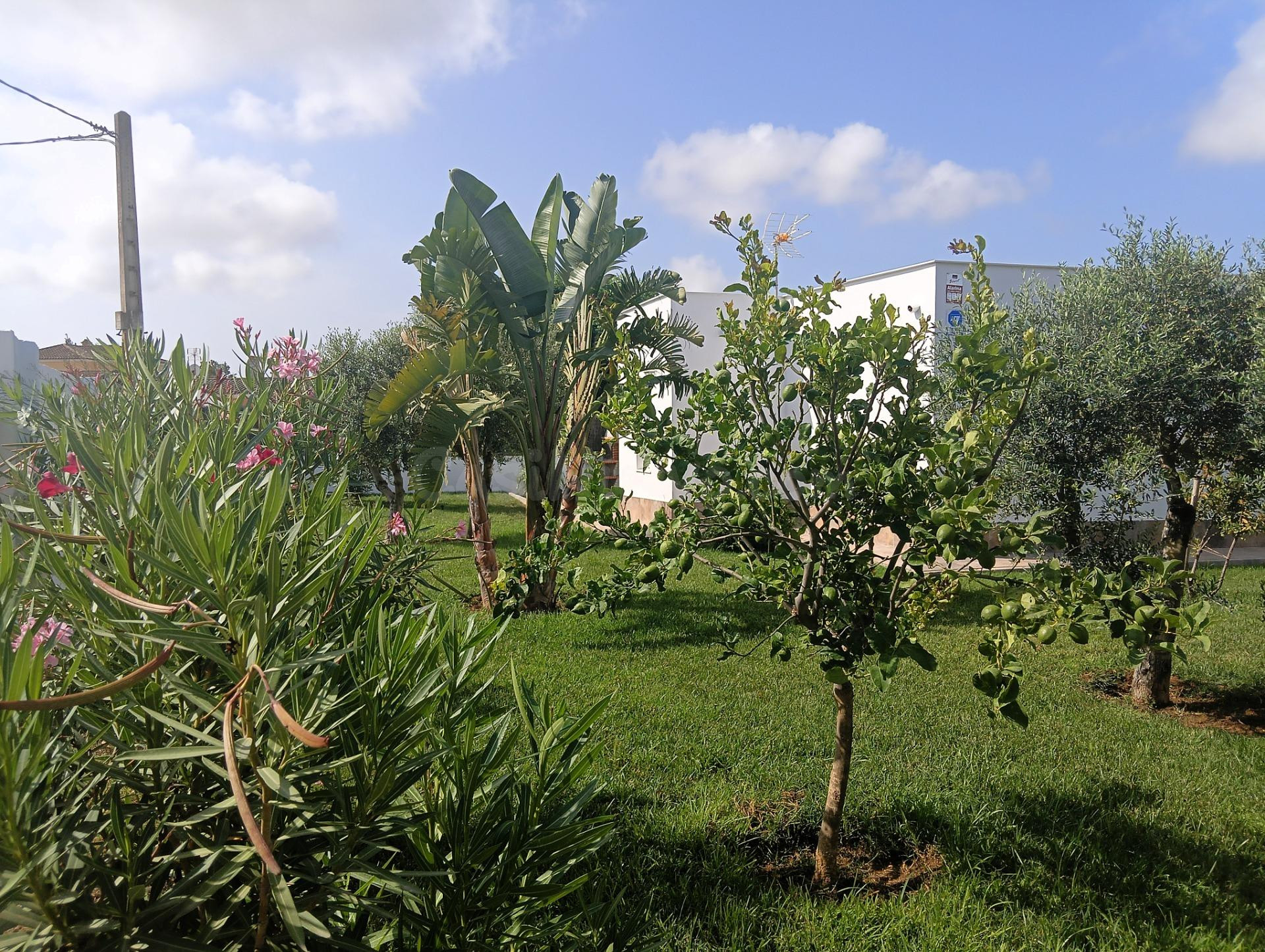 FINCA CON DOS VIVIENDAS EN BARRIO NUEVO EL COLORADO - foto 5