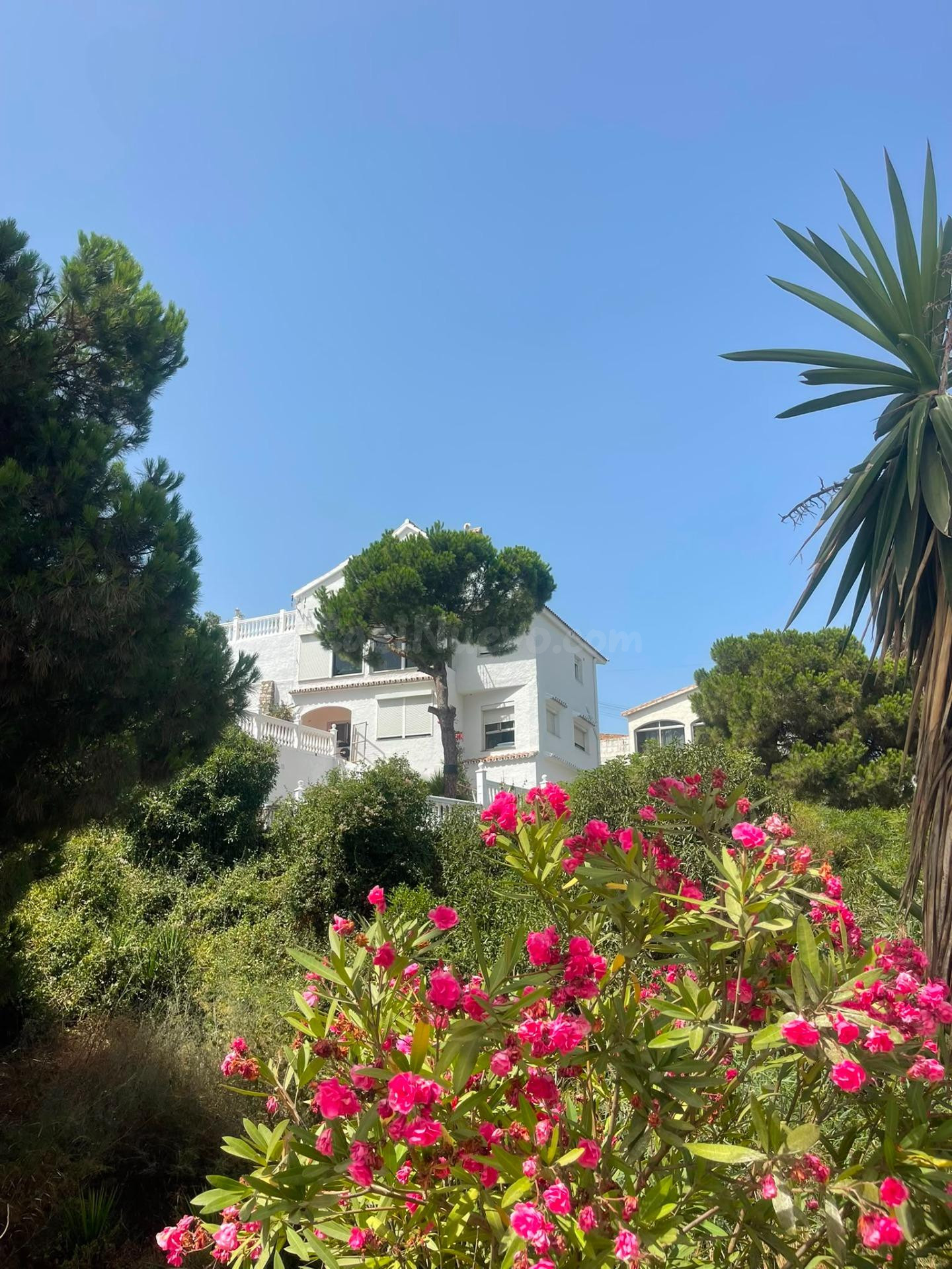 SE VENDE CASA INDEPENDIENTE EN EL FARO CON 3 APARTAMENTOS. I - foto 4