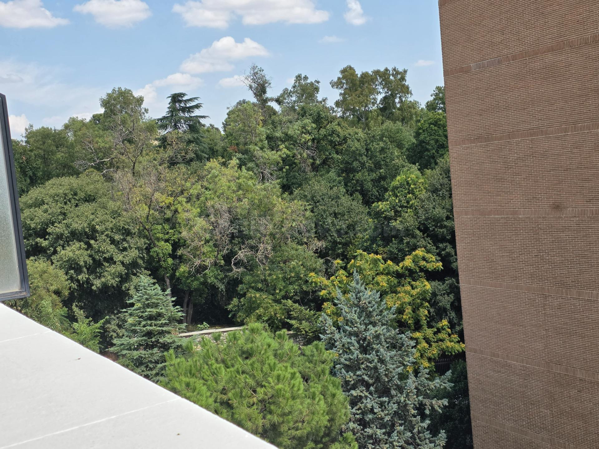 Amplio piso de 157 m2 con terraza, garaje y vistas al Retiro - foto 2
