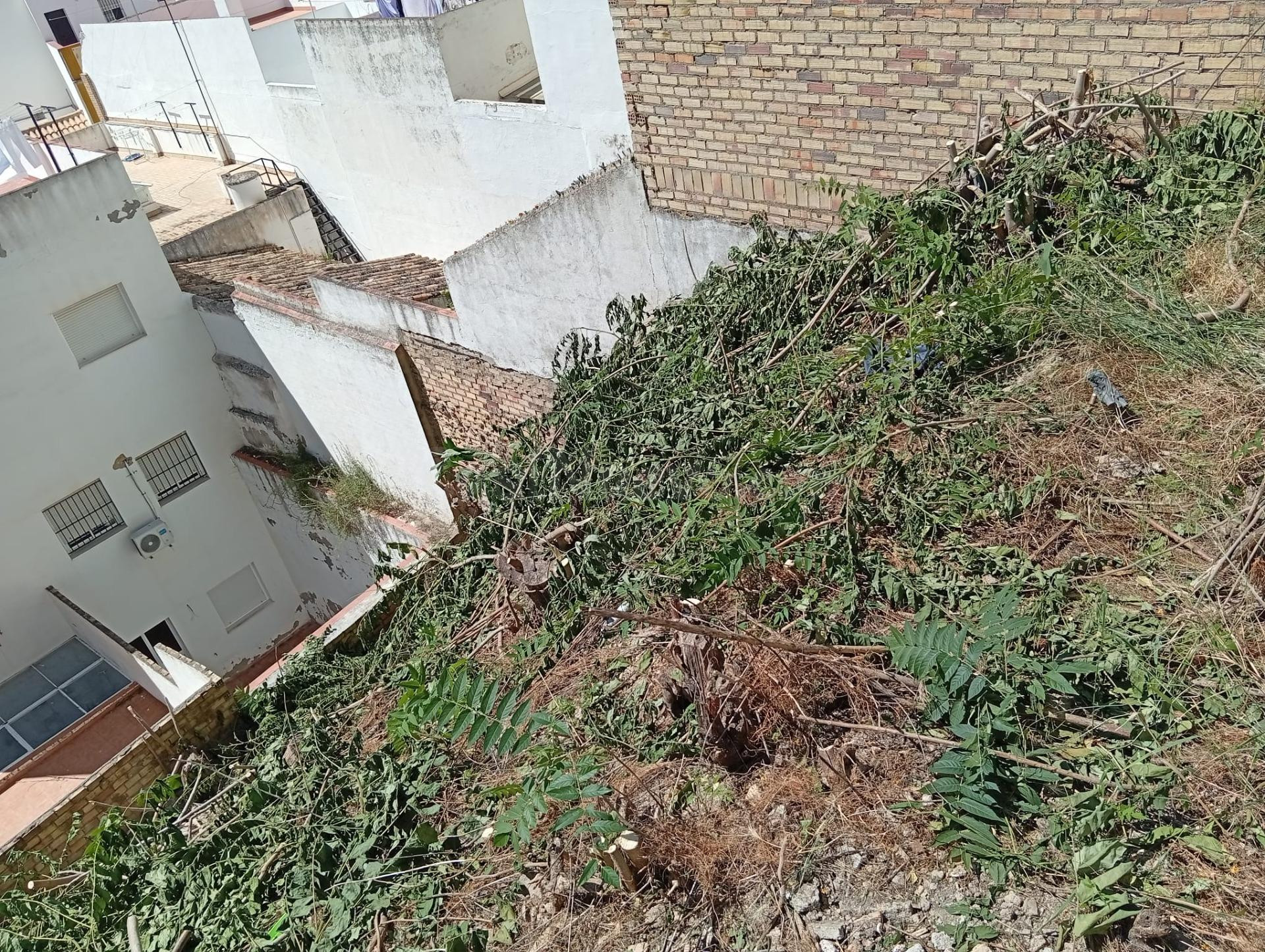 Solar de 96 m2 en Subida el Castillo - Zona Centro - foto 4