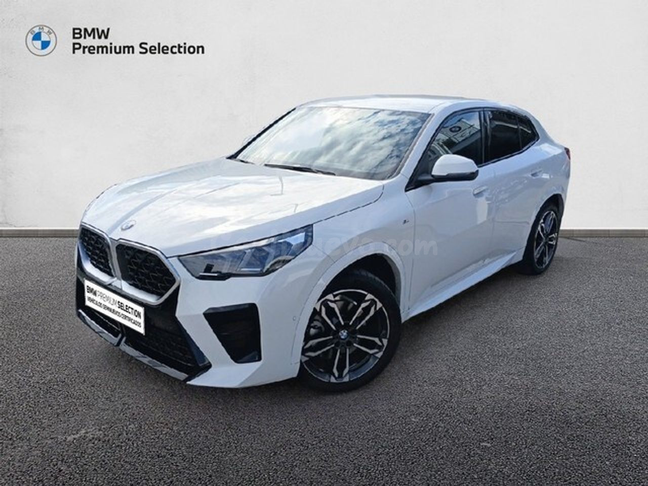BMW X2 sDrive20i 125 kW (170 CV)