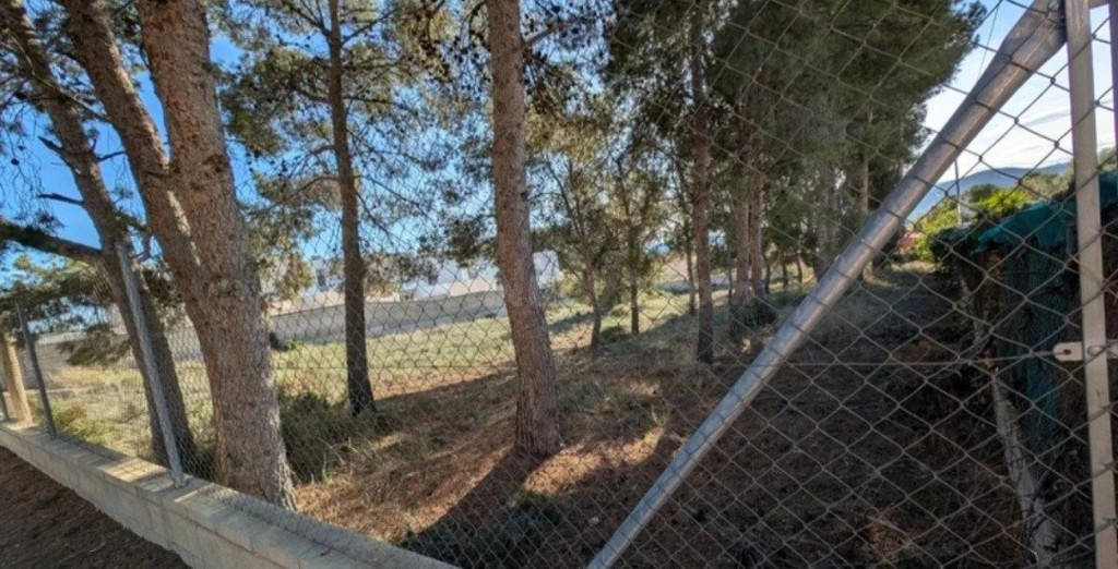 Parcela de 1600m² en Salinetas para chalet ideal - foto 4