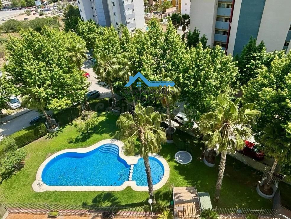 Luminoso Piso a la venta en Benidorm Levante
