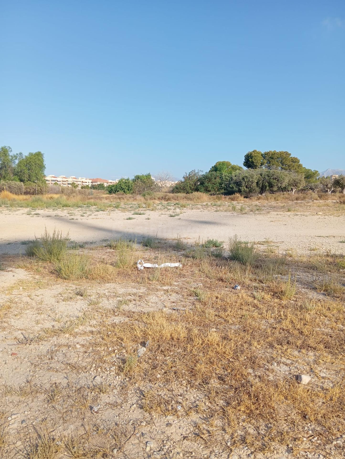 Terreno rural cultivable cerca del pueblo de Mutxamel - foto 3