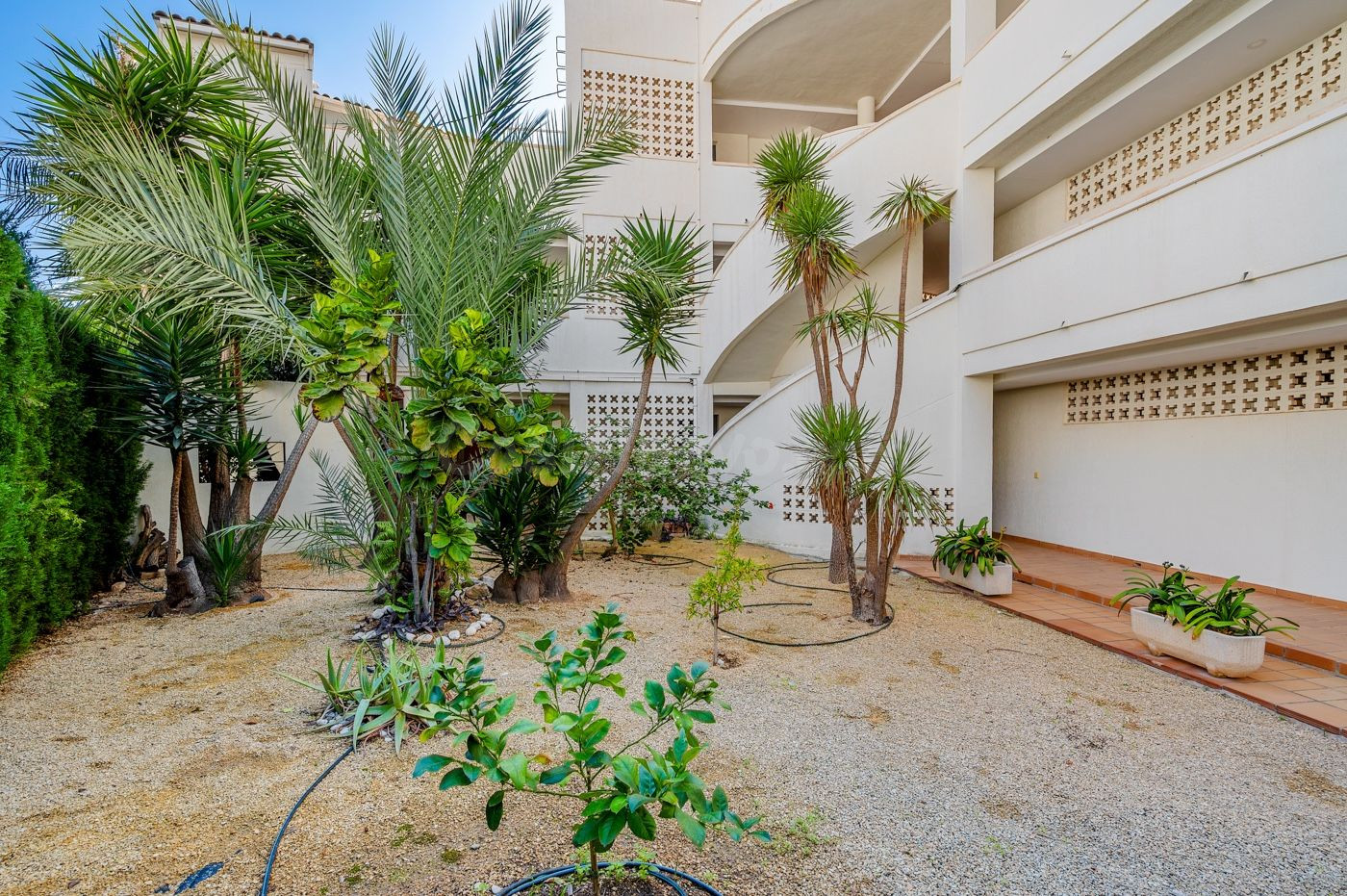 Apartamento 1 habitación 52m² en venta - 1a linea - foto 3