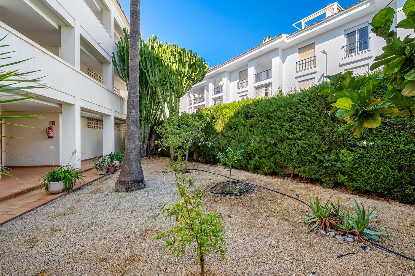 Apartamento 1 habitación 52m² en venta - 1a linea - foto 5