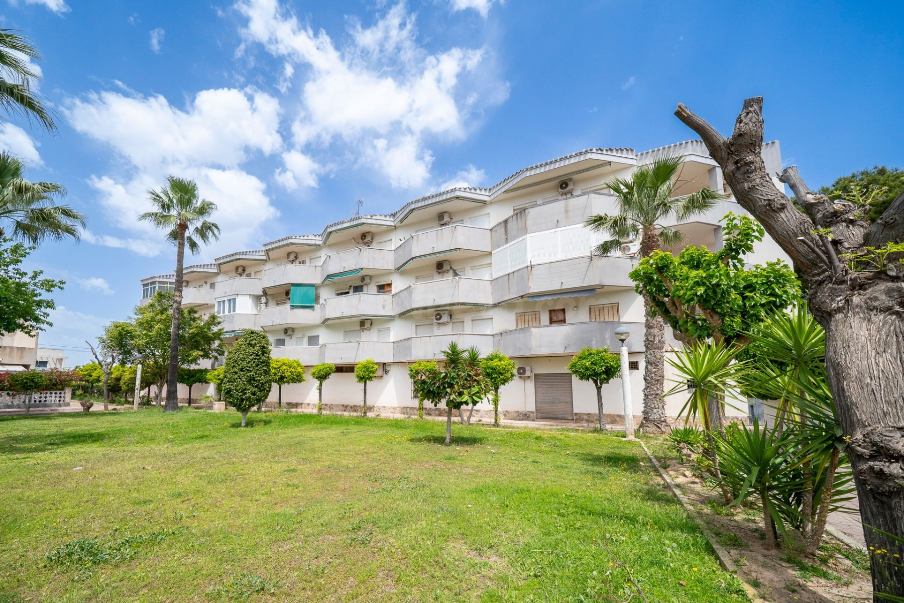 Apartamento 1 habitación 39m² en venta - Campoamor