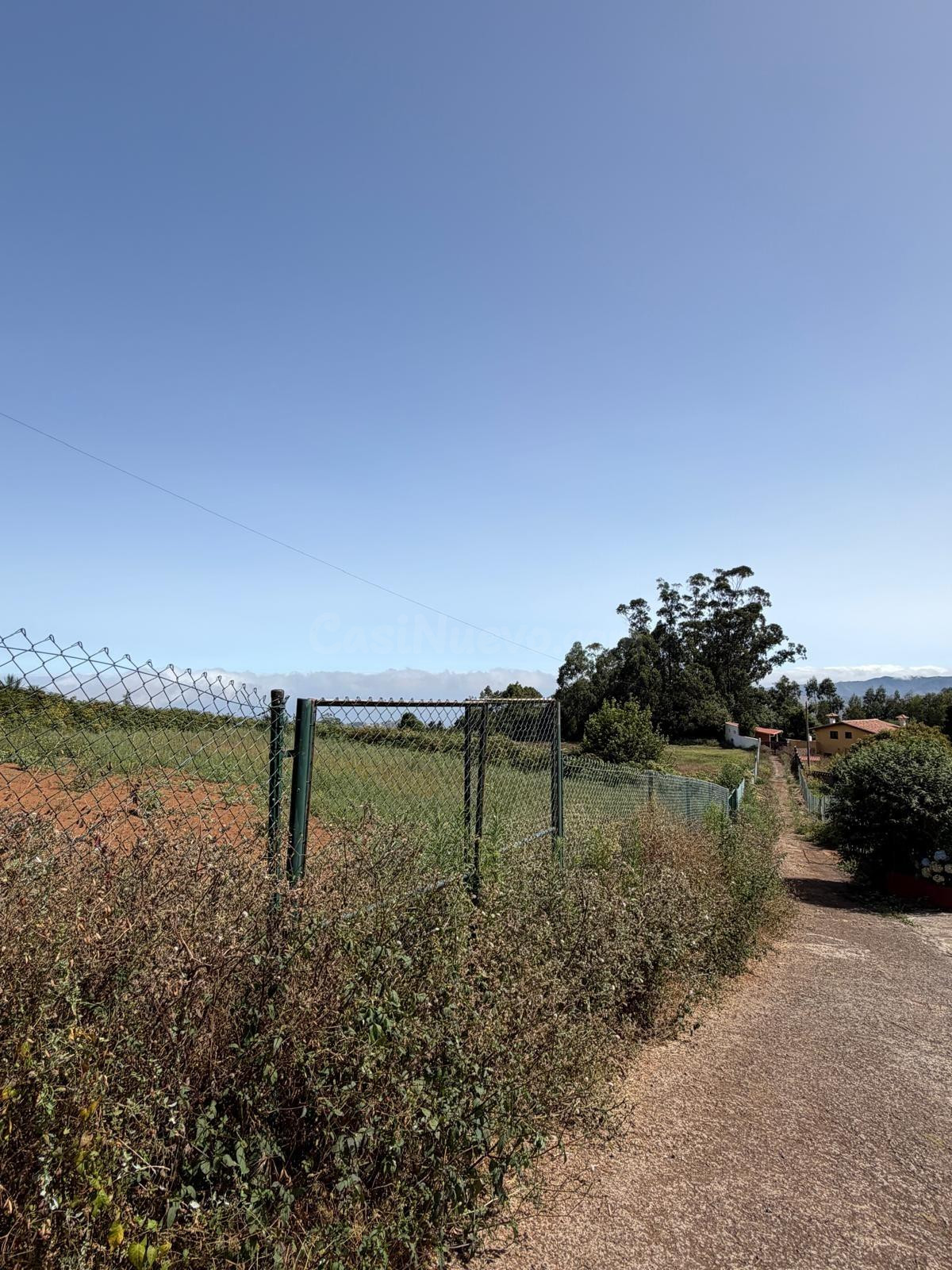 Finca con gran potencial agrícola en El Ortigal - foto 2