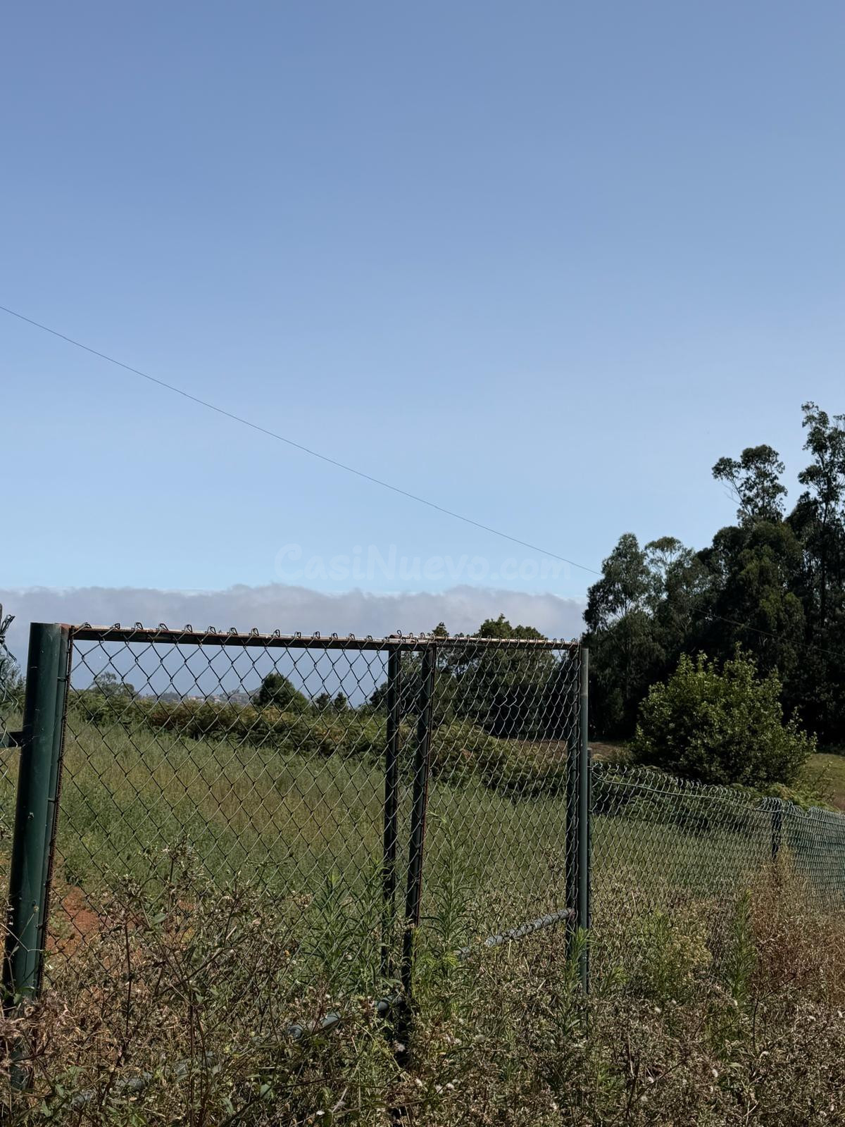 Finca con gran potencial agrícola en El Ortigal - foto 5