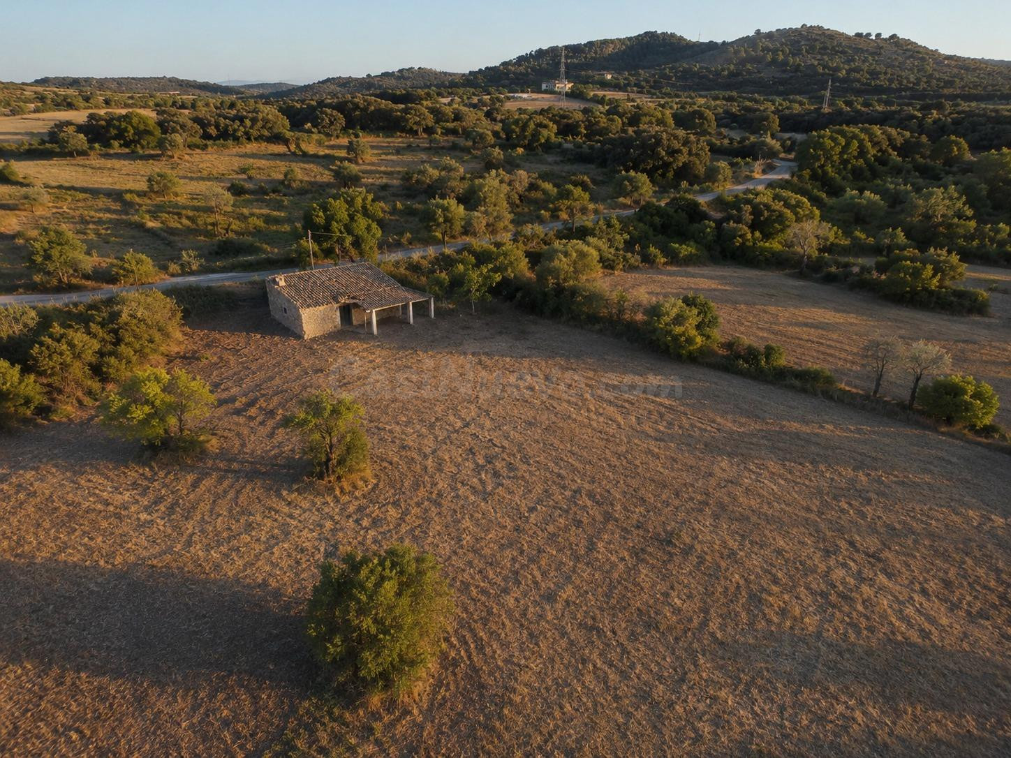 Finca de con caseta de piedra en Artá.