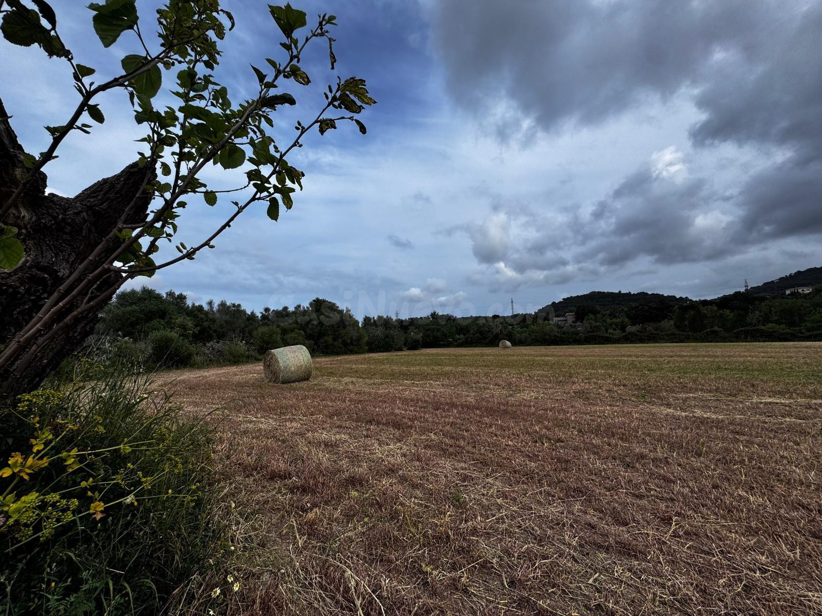 Finca de con caseta de piedra en Artá. - foto 4