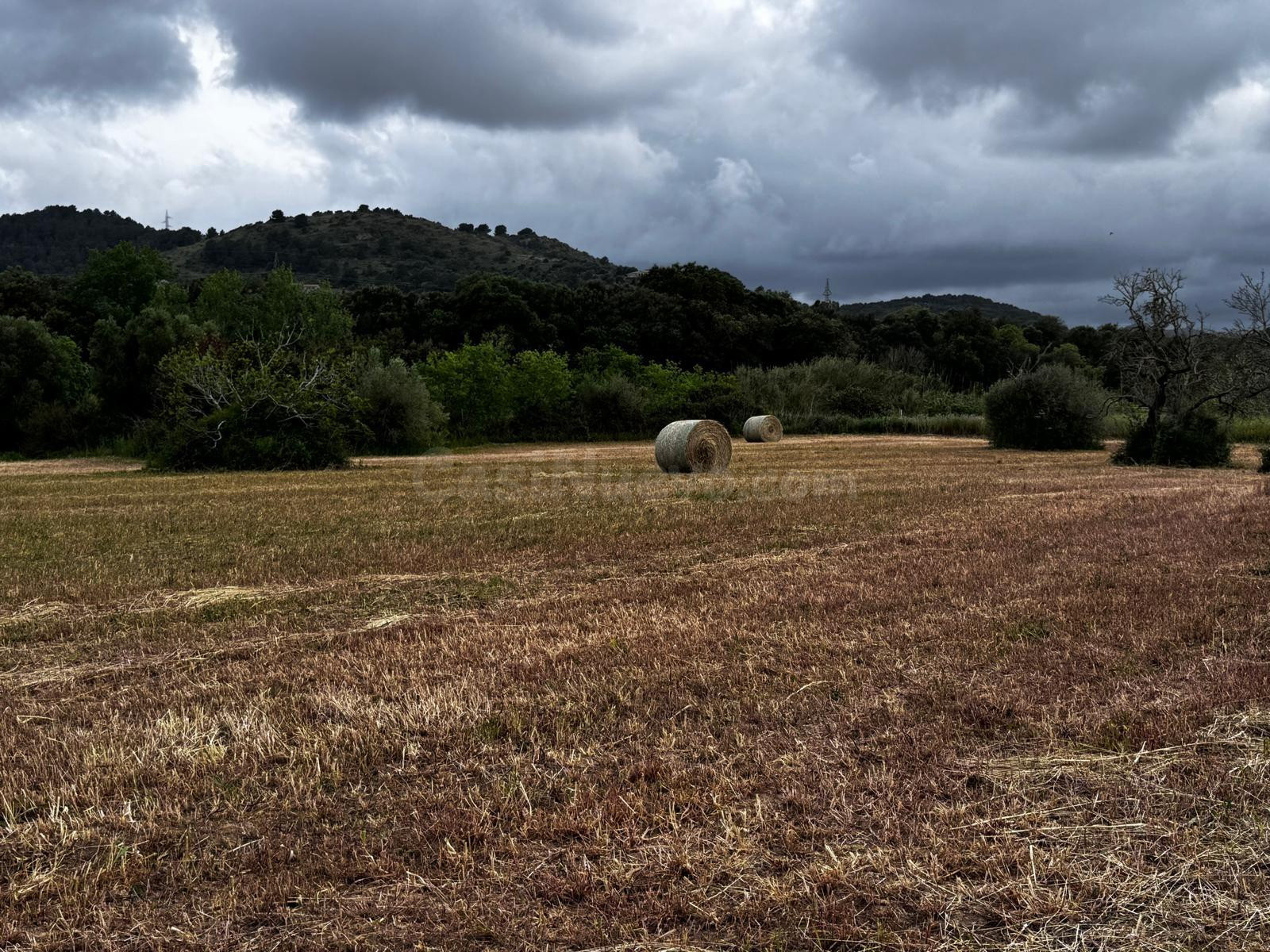 Finca de con caseta de piedra en Artá. - foto 5