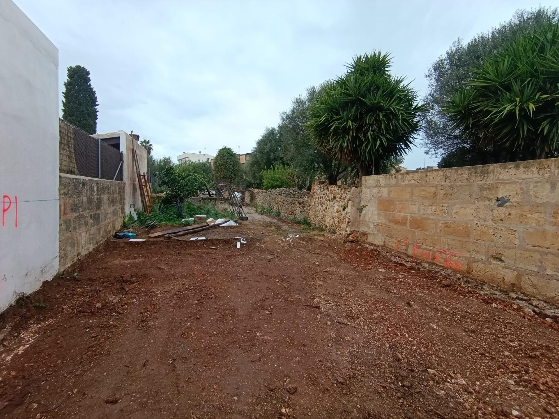 Solar Urbano con proyecto de Casa de pueblo en Ariany - foto 4