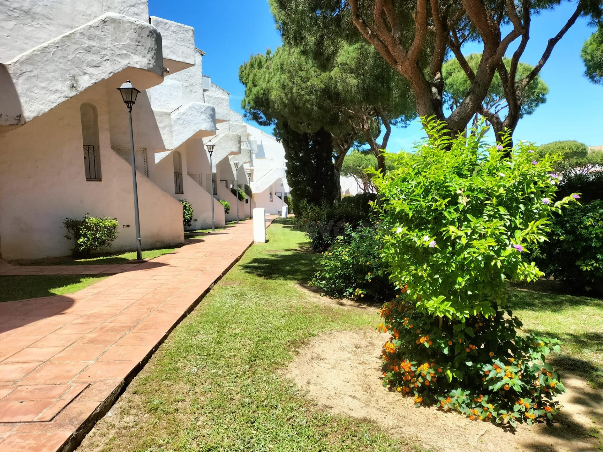 ALQUILER DESDE YA HASTA 30 DE JUNIO APARTAMENTO EN LA BARROS - foto 3