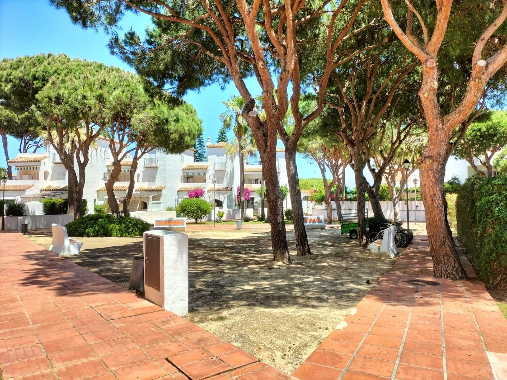 ALQUILER DESDE YA HASTA 30 DE JUNIO APARTAMENTO EN LA BARROS - foto 4