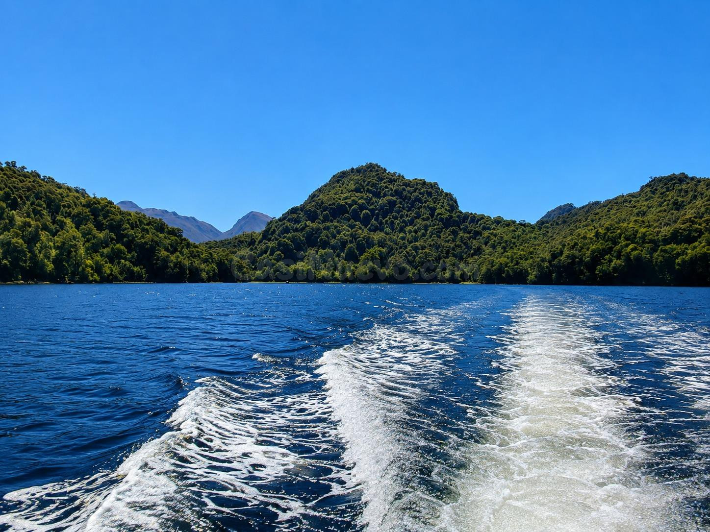 Se vende Isla Elena en Chile, Aysen - foto 4